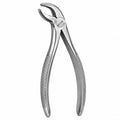 Dental Extraction Pliers